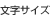 文字サイズ